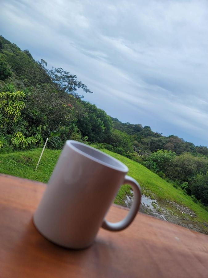 Cabinas Selva Verde Monteverde Esterno foto